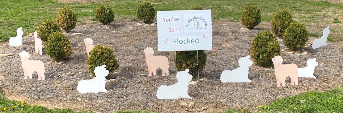 The Sheep Flocking Fundraiser